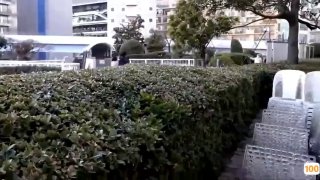 国产精品网站在线看,成人视频高清免费观看